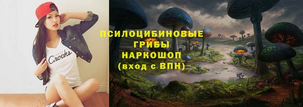 ПСИЛОЦИБИНОВЫЕ ГРИБЫ Магас