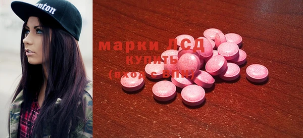 ПСИЛОЦИБИНОВЫЕ ГРИБЫ Магас